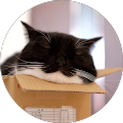 Profile photo of Alondra Manzano