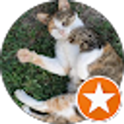 Profile photo of bashkim dervishi