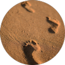 Profile photo of Brooke Glazner