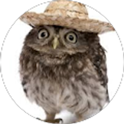 Profile photo of claudia chavez