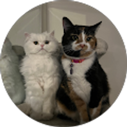 Profile photo of morgan anne