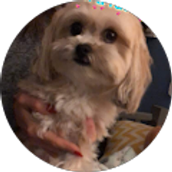 Profile photo of Logan Marie