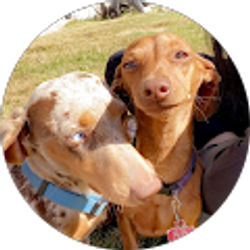 Profile photo of Angel Alvarado