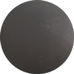 Profile photo of Joey Ace