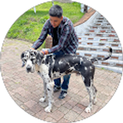 Profile photo of jason ellis