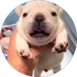 Profile photo of z c