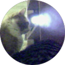 Profile photo of Ray Collier