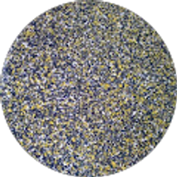 Profile photo of Brandon Thomason