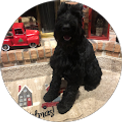 Profile photo of Jack Noteboom