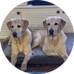 Profile photo of MAC