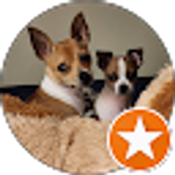 Profile photo of Joe Dempsey