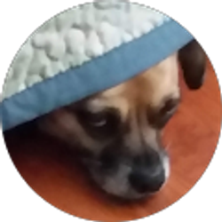 Profile photo of Mask