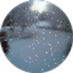 Profile photo of Carmen Guffey