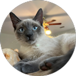 Profile photo of Zoe Paige