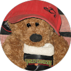 Profile photo of Al Morgese (Al)