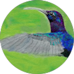 Profile photo of Brooke Benson