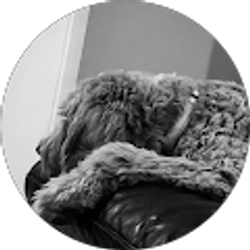 Profile photo of Harper Adamson