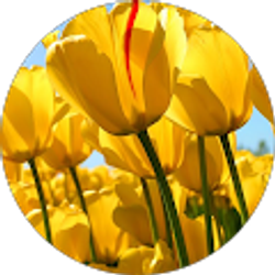 Profile photo of Jennifer Watson