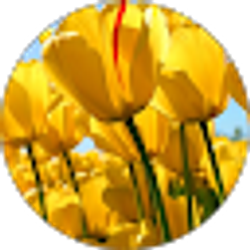 Profile photo of Jennifer Watson