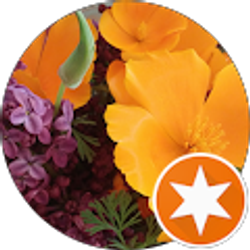 Profile photo of Kimberly Maevers