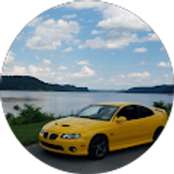 Profile photo of YellowjacketGTO