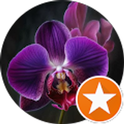 Profile photo of Shirley Kilpatrick