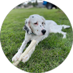 Profile photo of Tracey Krakow