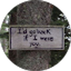 Profile photo of P Pendleton