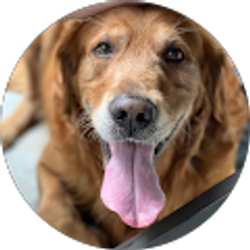 Profile photo of Kelsey Hetrick