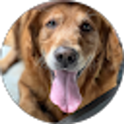 Profile photo of Kelsey Hetrick