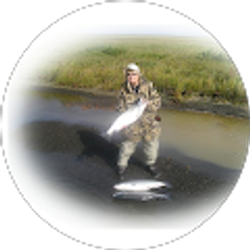 Profile photo of Jan Hazelton