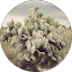 Profile photo of De Nopales Native Imports