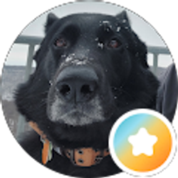 Profile photo of E Kramer
