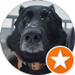 Profile photo of E Kramer