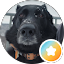 Profile photo of E Kramer