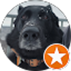 Profile photo of E Kramer