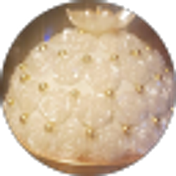 Profile photo of S Davis