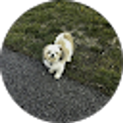 Profile photo of Betty Oliver