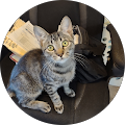 Profile photo of susan arthurs