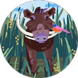 Profile photo of Marvellous Awudi