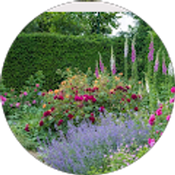 Profile photo of Stacy Freedman