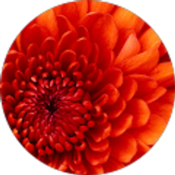 Profile photo of Tobi Smith