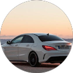 Profile photo of Andrew R