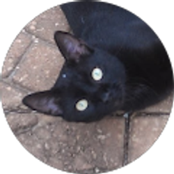 Profile photo of Suzy