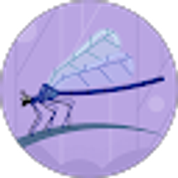 Profile photo of Sydna Cooper