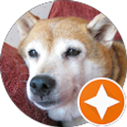 Profile photo of Lana's World Gaming