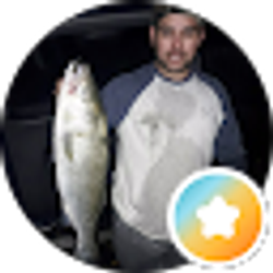 Profile photo of Juan morales