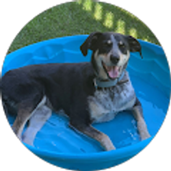 Profile photo of Janet Steininger