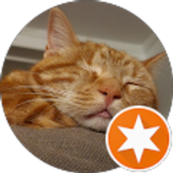 Profile photo of Daniel Sucher
