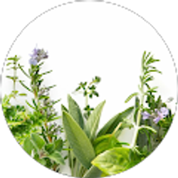 Profile photo of Cynthia Tezaris